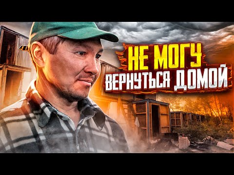 Видео: ГОД ЖИВЕТ В ЛЕСУ, ПИТАЕТСЯ ГРИБАМИ и НЕ МОЖЕТ ВЕРНУТЬСЯ ДОМОЙ