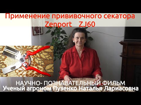 Видео: Секатор для  прививок винограда Zenport  ZJ60. Удобно и надежно (Пузенко Н.Л.)
