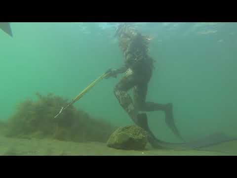 Видео: РЫБА ! подводная охота в туапсе