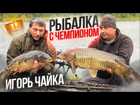 Видео: РЫБАЛКА С ЧЕМПИОНОМ и суровые Челябинские карпы на Кабаньих Прудах.