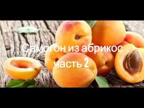 Видео: Самогон из абрикос. ЧАСТЬ 2