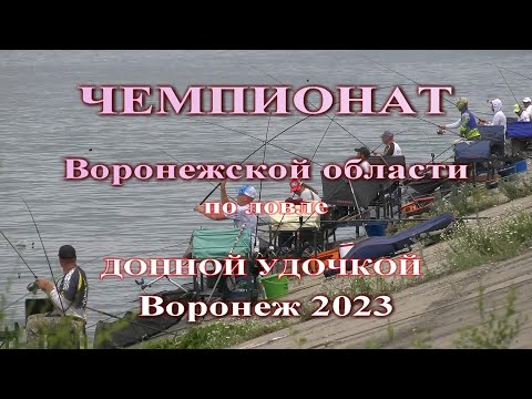 Видео: Чемпионат Воронежской области по фидеру июль 2023