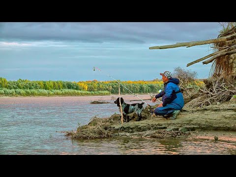 Видео: МЕЧТА СБЫЛАСЬ! Супер - рыбалка на закидушки! Пять ночей на острове с Ромкой. Рыбалка с ночёвкой