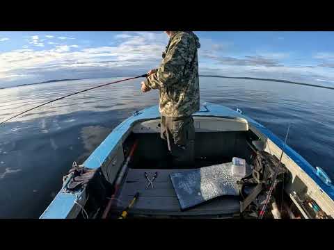 Видео: Карелия 2025 ч 4