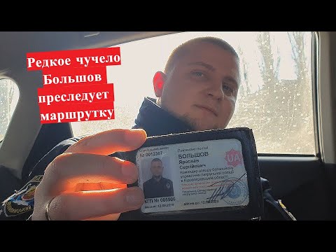 Видео: Мусорок решил показать власть