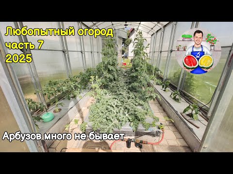 Видео: Любопытный огород часть 7 (2025).
