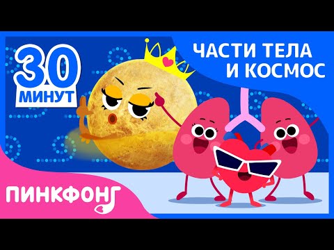 Видео: Учиться Вместе | Песни про Части Тела и Космос | +Сборник | Пинкфонг Песни для Детей