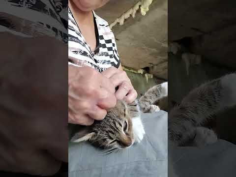 Видео: Чистота - залог здоровьЯ. Порядок - прежде всегО.👍🤗