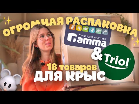 Видео: РАСПАКОВКА ДЛЯ КРЫС ОТ GAMMA и TRIOL😍🐭