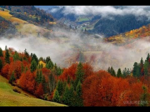 Видео: "Слова, які мене надихають"