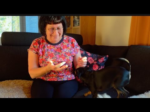 Видео: Чистим ...просто играючи....Упрямка наш...