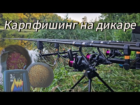 Видео: Глазами Карпа: Подводная Съемка на Дикаре! Рыбалка с Прикормочным Корабликом 🐟 Карпфишинг!