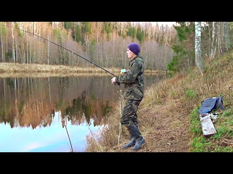 Видео: Налим на донки. Рыбалка с ночевкой. Таежная река.