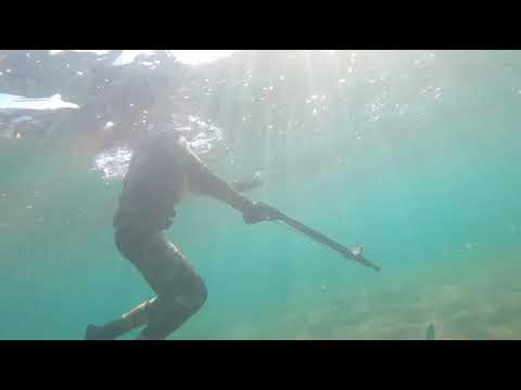 Видео: Подводная охота на пару с самым молодым подвохом Мангистау Марк. Кызылузень