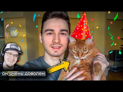 Видео: Брайн Мапс ► Отмечаем День Рождения Тигры! ( TheBrianMaps ) | Реакция