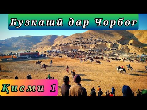 Видео: БУЗКАШӢ ДАР ЧОРБОҒ 09 11 2025 ҚИСМИ 1.