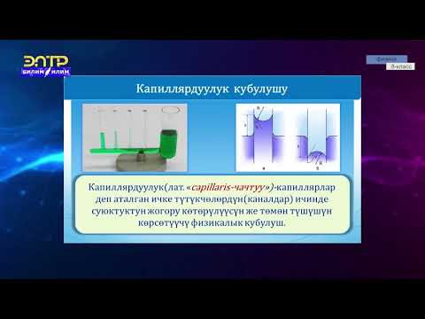 Видео: 8-класс | Физика |  Нымдоо. Капилярдуулук
