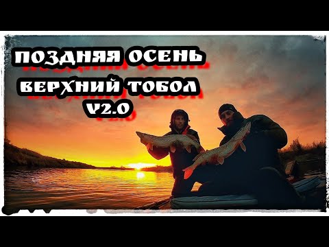 Видео: Тобол, Джиг, Поздняя осень.