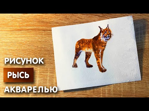 Видео: Как нарисовать рысь карандашом и акварелью начинающим | Рисунок для детей