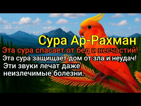 Видео: Ар-Рахман — СЕКРЕТ БАРАКАТА И ПРОЦВЕТАНИЯ!
