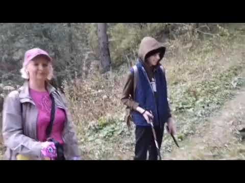 Видео: В горы за грибами.⛰️🍄