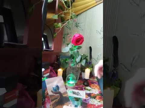 Видео: Роковой поход Усольцевых. 🏕️😢Что Ирину звало в лес? Были ли предчувствия? Что в лесу произошло?🌳🐾 