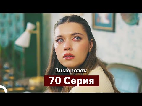 Видео: Зимородок 70 Cерия (Русский дубляж)