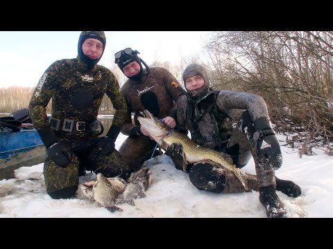 Видео: ПОДВОДНАЯ ОХОТА. ДЕСНОГОРСКАЯ АЭС.  ЩУКА НА 10кг