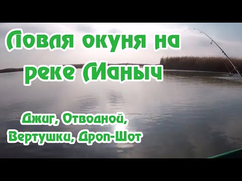 Видео: Окунь на реке Маныч / Рыбалка / Ловля окуня на Спиннинг / Посёлок Веселый/Дроп-Шот / Джиг / Отводной