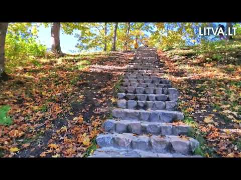 Видео: Старинное поселение Lopaičiai, Литва . 19.10.2025