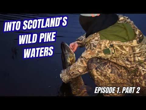 Видео: Финал «Большой щуки» в Шотландии | Охота на монстров: Эпизод 1, часть 2