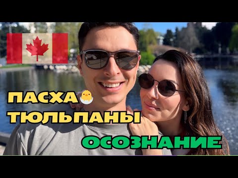 Видео: Vancouver Vlog: Семейный влог, Пасха, тюльпаны и мысли о возвращении #канада
