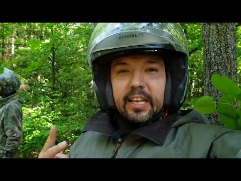 Видео: Выходные в лесу! Чеховские леса! Конец трилогии!