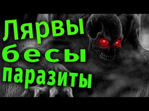 Видео: Откуда у нас лярвы и зачем они нужны?