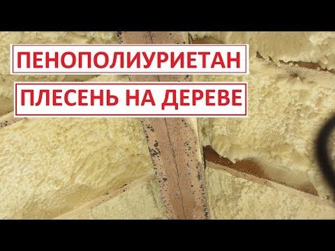Видео: Пенополиуретан(ППУ) // плесень на дереве