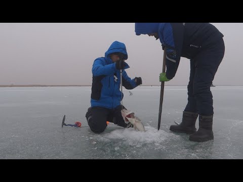 Видео: Зимняя рыбалка. Две ночи на льду... Судак, карась.