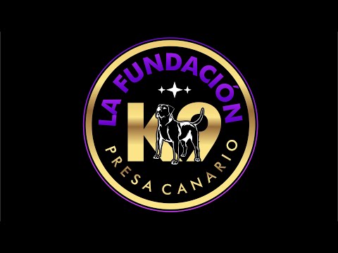 Видео: Как мы это прекратим! #getyouapresa #presacanario #getyouapresa!