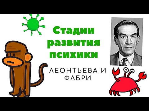 Видео: Стадии развития психики Леонтьева и Фабри. Зоопсихология. Теория деятельности Леонтьева (Часть 2).