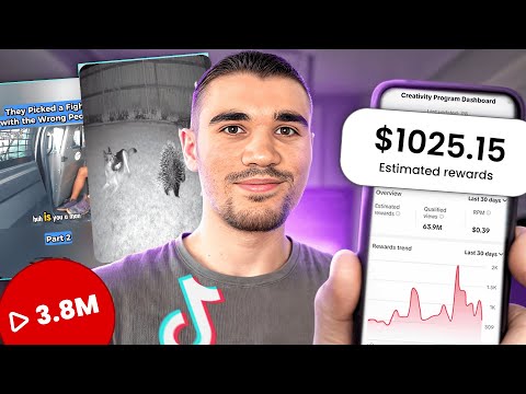 Видео: 5 вирусных ненасыщенных ниш TikTok для программы вознаграждений для авторов