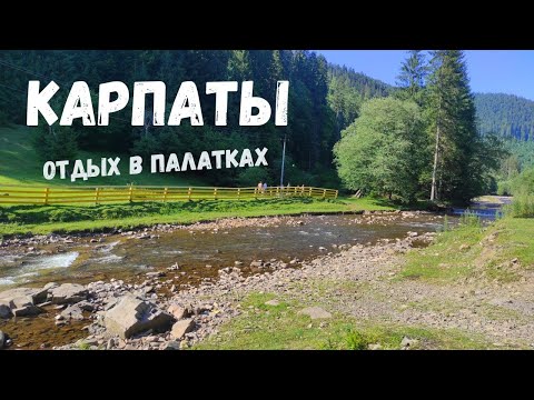 Видео: Проблема найти место для стоянки лагеря! Синевирская поляна.