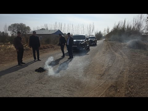 Видео: 13 ноября 2025 БУГУН КИРККИЗОБОДА ТУЙ