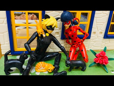 Видео: Супер кот привёл домой всех бездомных кошек! Леди Баг и Супер Кот выполняют задания от подписчиков