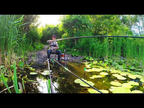 Видео: СУПЕР УЛОВИСТА НАСАДКА ЛІТОМ!! Рибалка на поплавок! Ловля карася!
