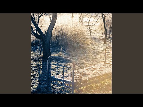 Видео: Знарок