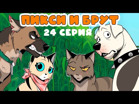 Видео: Пикси и Брут. 24 серия. Комиксы | Мемозг 1135