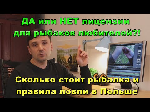 Видео: Как законно отправиться на рыбалку в Польше. Сколько стоит разрешение на рыбную ловлю.
