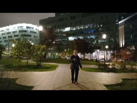 Видео: 25.10.2025.(2ч.) "Белые розы" (кавер) ЗА СКВЕР ИМ. ЮРИЯ ШАТУНОВА