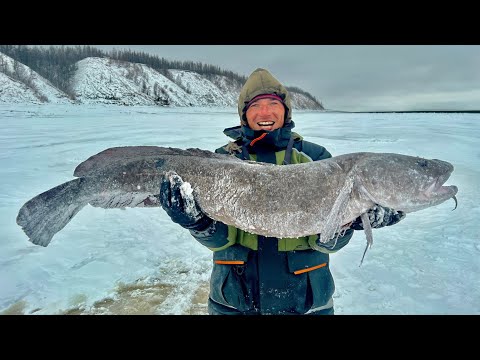 Видео: ШОК! РЫБЫ ЛЮДОЕДЫ НЕ ЛЕЗУТ В ОГРОМНЫЕ ЛУНКИ. ЯКУТИЯ. ПЕРВЫЙ ЛЁД