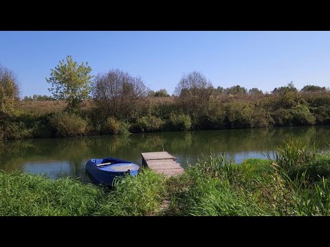 Видео: 17.09.2024 09:12 вторник. В деревню Селино через село Воскресенское и к реке Упе.