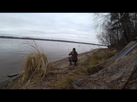 Видео: Рыбалка на ДОНКИ с берега на судака, налима в ноябре.